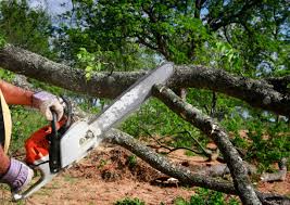 Gallatin, MO  Tree Services Company